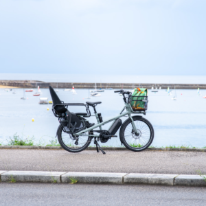 Pre-owned Light Gray Multi-functional E-bike – Family-Friendly, High-Capacity Storage, Ideal for Leisure & Long-Distance Rides